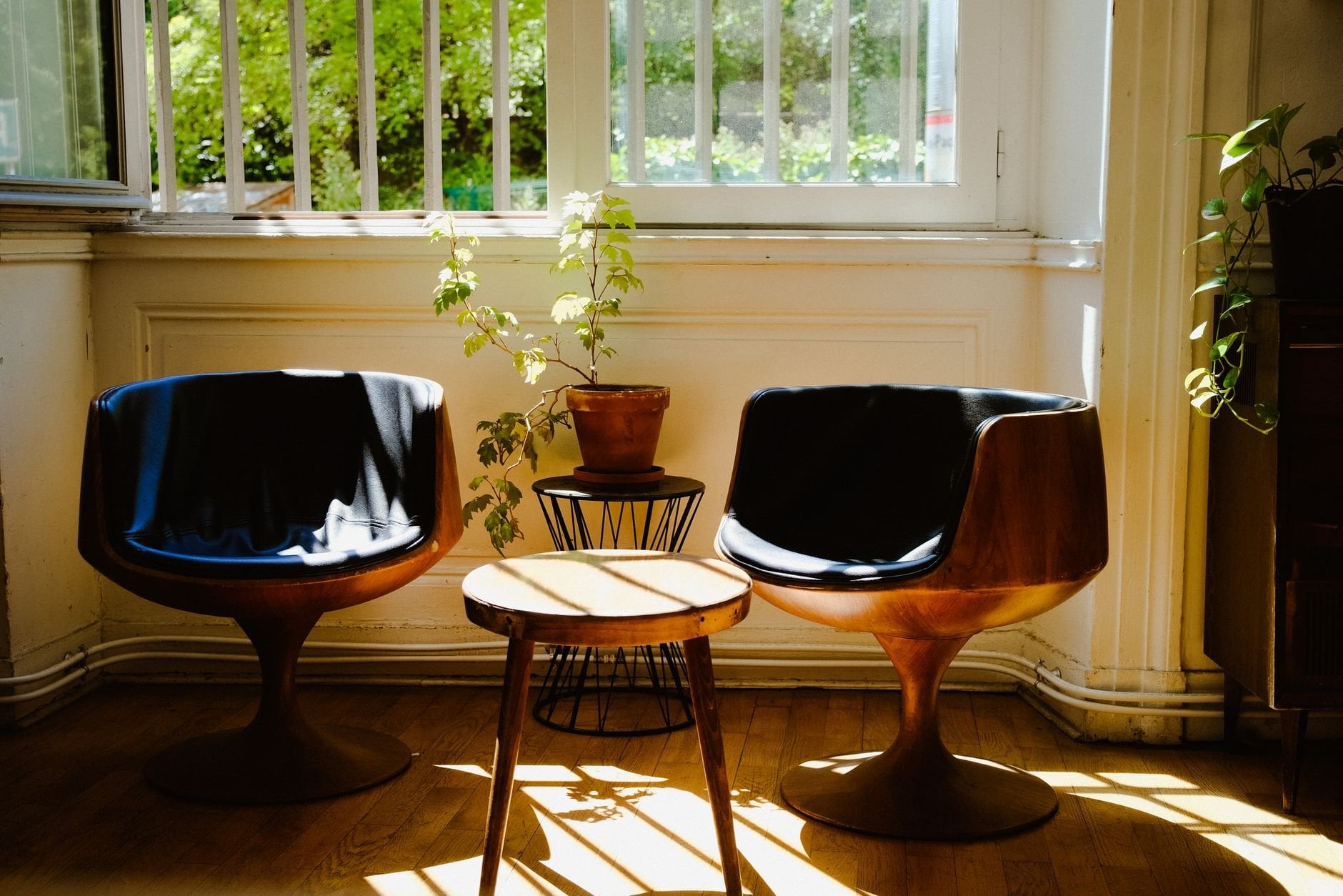A stylish interior showcasing mid-century modern chairs and a wooden coffee table in warm sunlight.